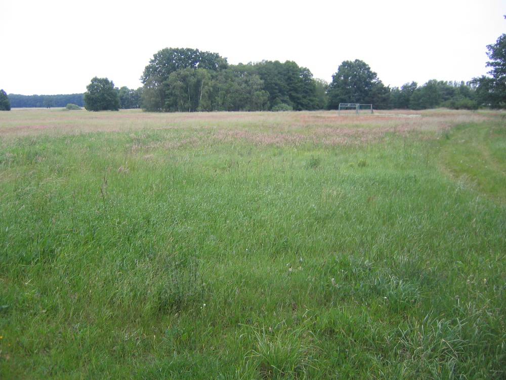 Renditeobjekt: ca. 18,5 ha Acker- und Grünland im Löwenberger Land