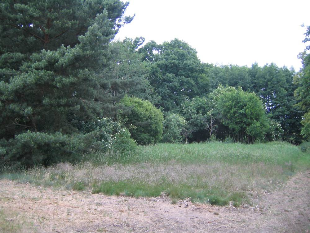 Renditeobjekt: ca. 18,5 ha Acker- und Grünland im Löwenberger Land – Bild 5