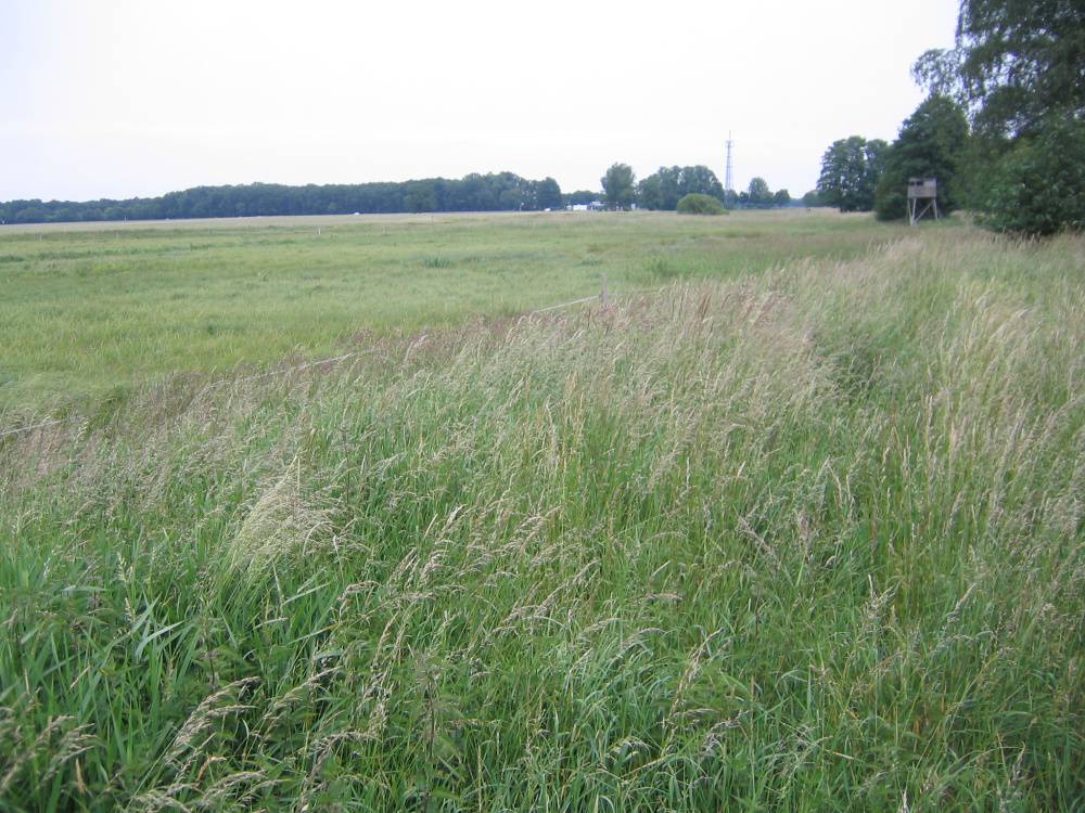 Renditeobjekt: ca. 18,5 ha Acker- und Grünland im Löwenberger Land – Bild 3