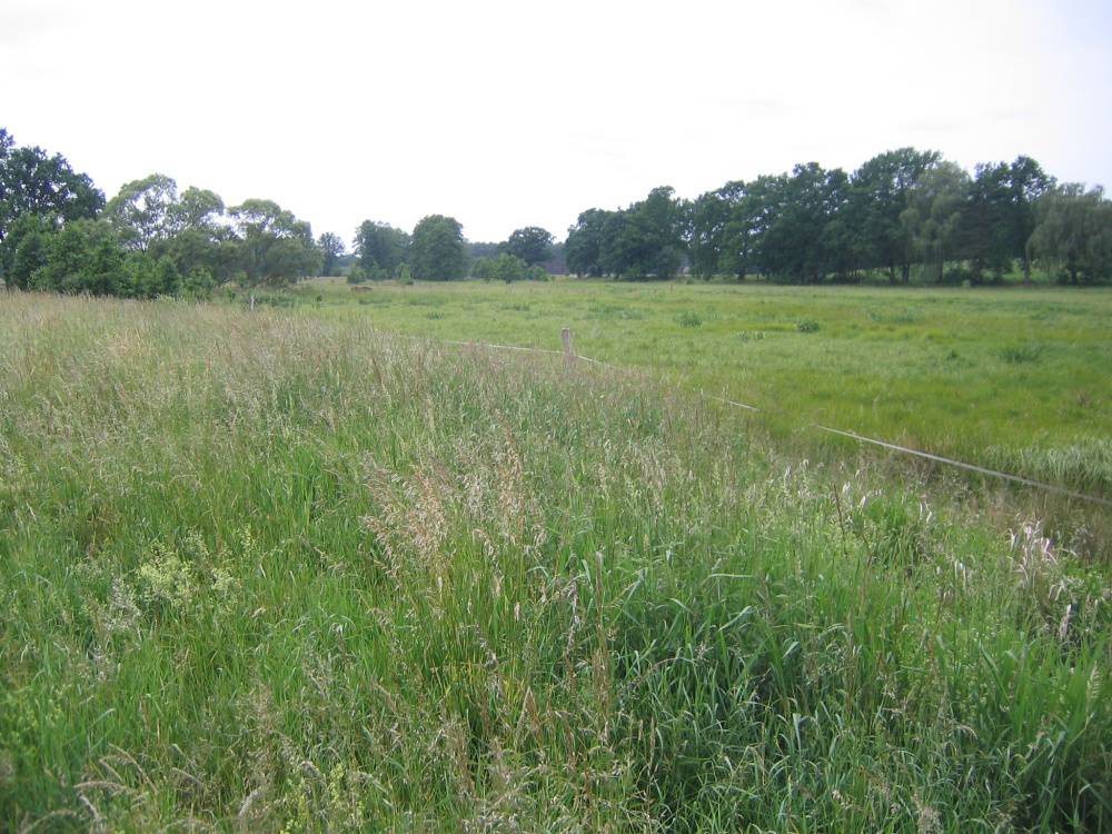 Renditeobjekt: ca. 18,5 ha Acker- und Grünland im Löwenberger Land – Bild 4