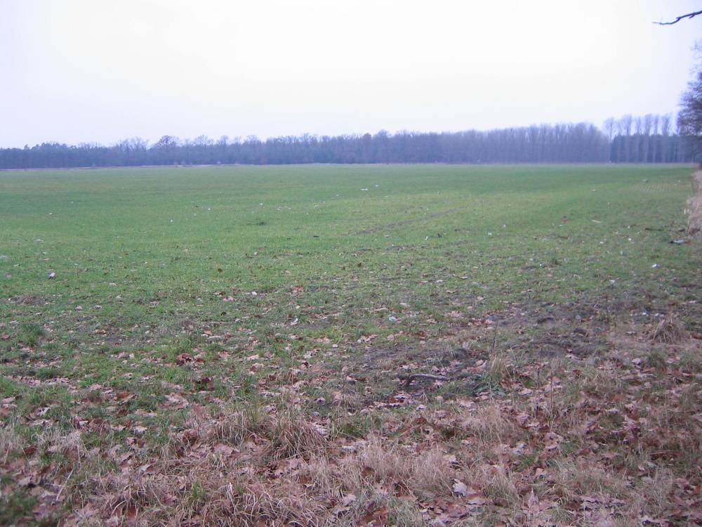 Renditeobjekt: ca. 18,5 ha Acker- und Grünland im Löwenberger Land – Bild 7