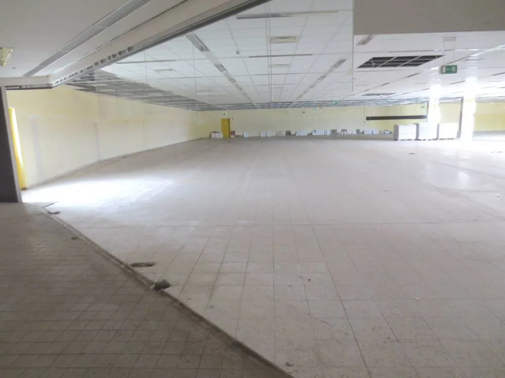Provisionsfrei: Einzelhandels- / Entwicklungsstandort mit ca. 3.400 qm Nutzfläche am Stadtrand von Elbe; teils vermietet Schönebeck/ – Bild 11