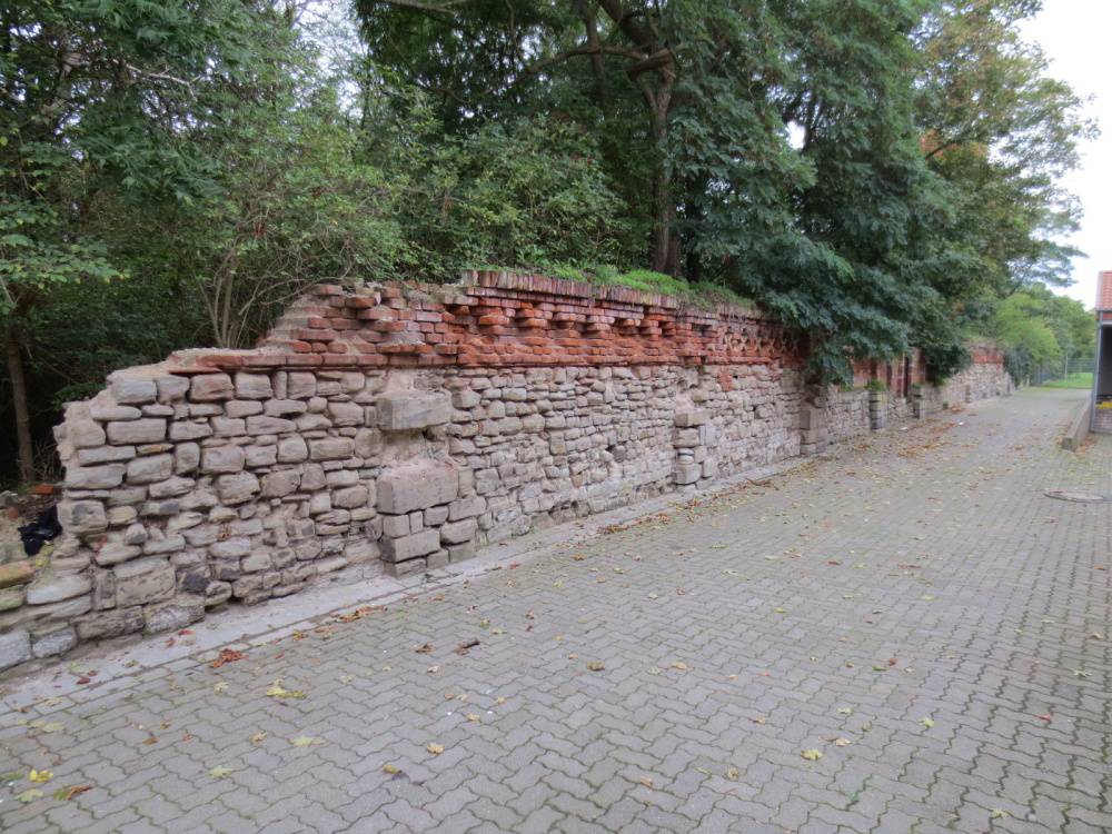 Provisionsfrei: Einzelhandels- / Entwicklungsstandort mit ca. 3.400 qm Nutzfläche am Stadtrand von Elbe; teils vermietet Schönebeck/ – Bild 22