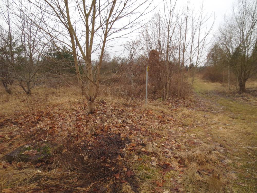 Provisionsfrei: Grundstücke am Ortsrand von Melchow mit insgesamt ca. 17.352 qm (derzeit ungenutzt) – Bild 5