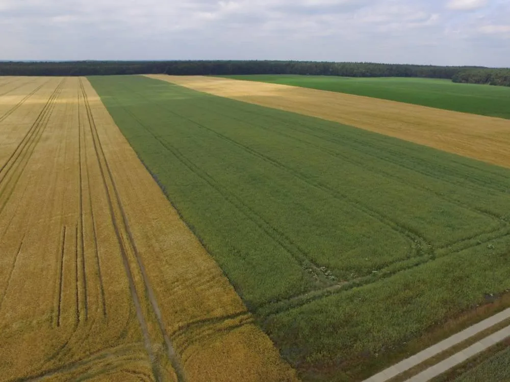 ca. 6,9 ha Acker & Grünland (Ankauf) in Karwesee (LK Ostprignitz-Ruppin) – Bild 1