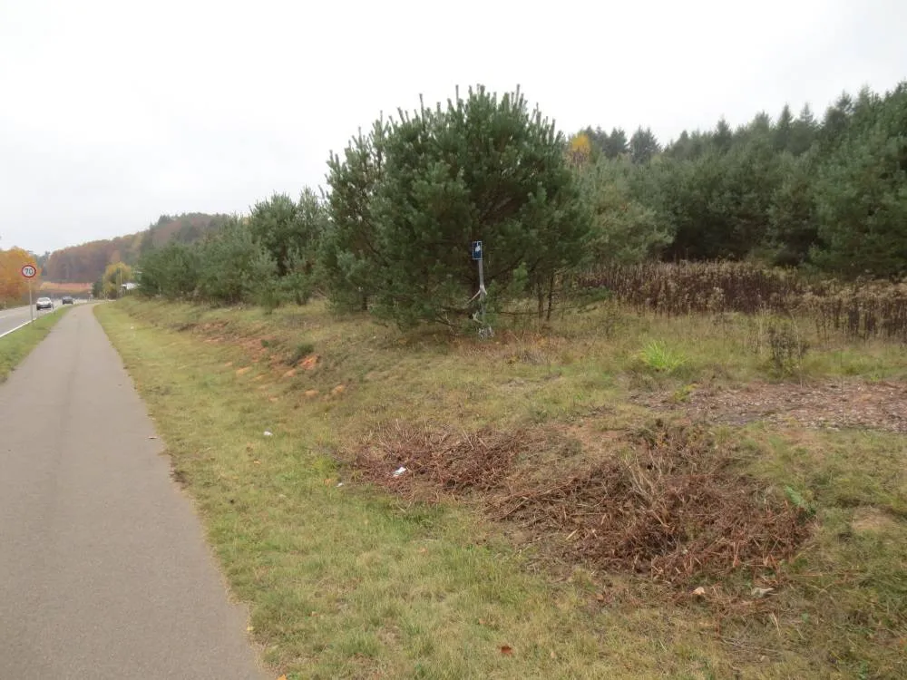 Provisionsfrei: Grundstück mit ca. 24.374 qm im B-Plan-Gebiet „Gewerbegebiet an der K 36“ in Lemberg (bei Pirmasens) – Bild 21