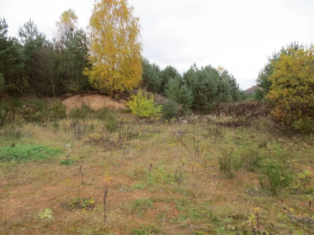 Provisionsfrei: Grundstück mit ca. 24.374 qm im B-Plan-Gebiet „Gewerbegebiet an der K 36“ in Lemberg (bei Pirmasens) – Bild 9