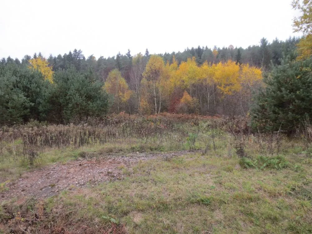 Provisionsfrei: Grundstück mit ca. 24.374 qm im B-Plan-Gebiet „Gewerbegebiet an der K 36“ in Lemberg (bei Pirmasens) – Bild 8