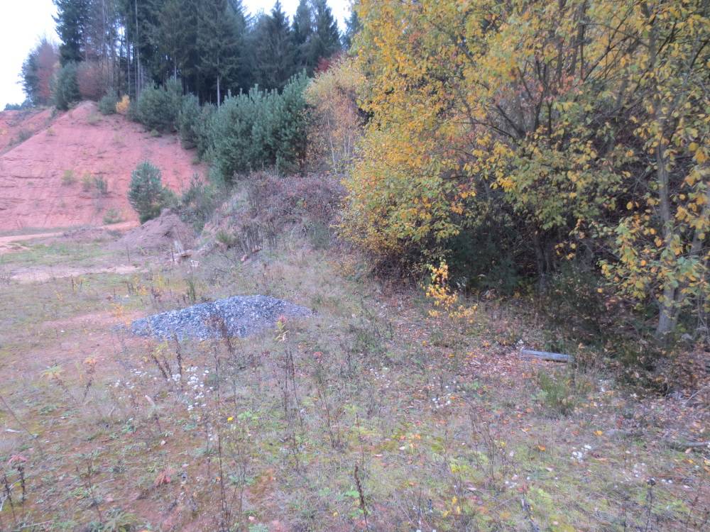 Provisionsfrei: Grundstück mit ca. 24.374 qm im B-Plan-Gebiet „Gewerbegebiet an der K 36“ in Lemberg (bei Pirmasens) – Bild 13
