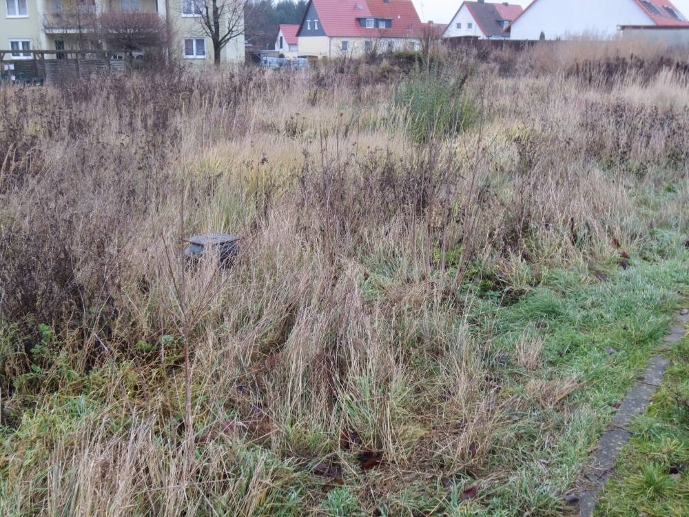 Provisionsfrei (aus Abwicklung): 8 preiswerte Bauparzellen im Ortsteil Seehausen, insgesamt ca. 3.550 m² (im B-Plan-Gebiet) – Bild 2