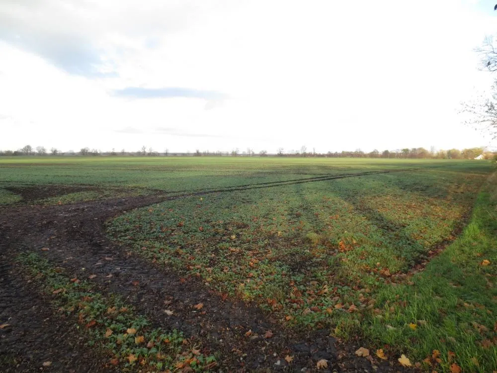 ca. 3,6 ha Landwirtschaftsfläche (Ankauf) in Königshorst (LK Ostprignitz-Ruppin) – Bild 1