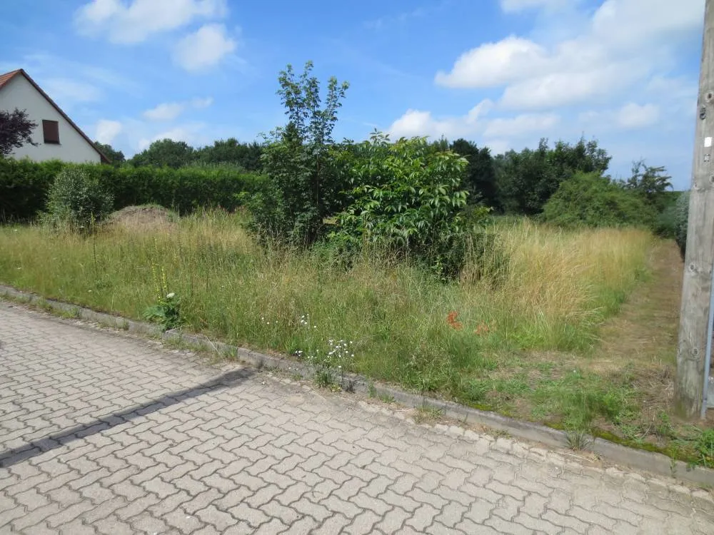 Provisionsfreies Angebot: Baugrundstück mit 866 qm in attraktiver Siedlung am Holzendorfer See – Bild 17