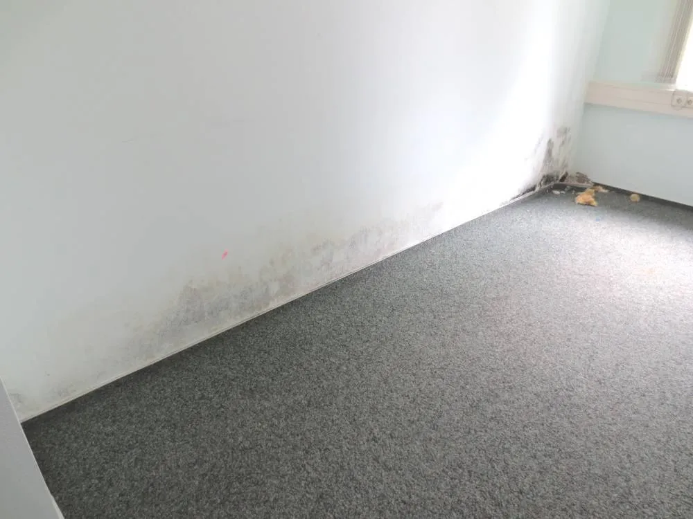 Provisionsfrei aus ZV: Verwaltungsgebäude im Zentrum von Rathenow (ehem. Jobcenter) – Bild 8