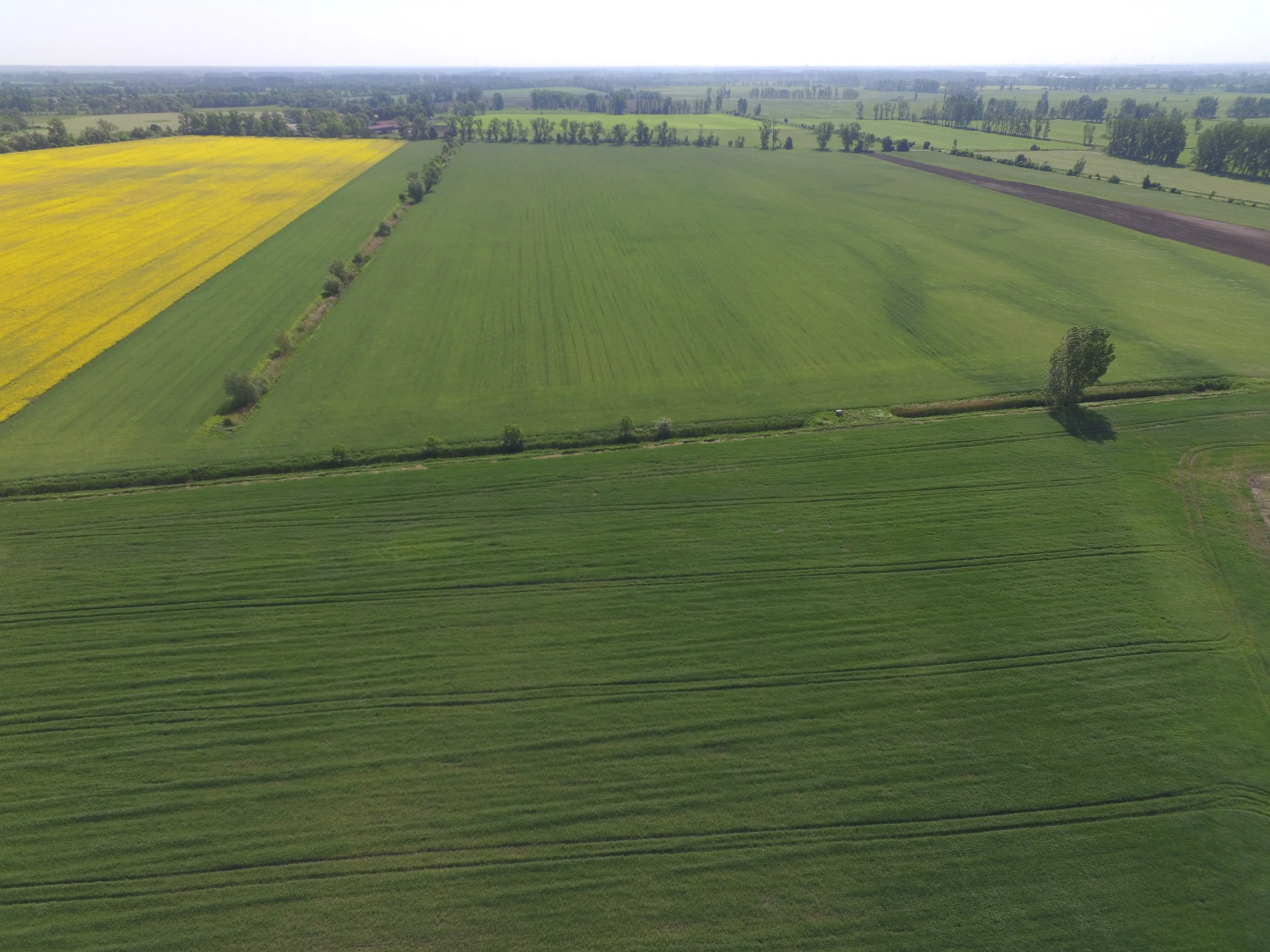ca. 35 ha Acker & Grünland nahe Fehrbellin (Ankauf), langfristig verpachtet
