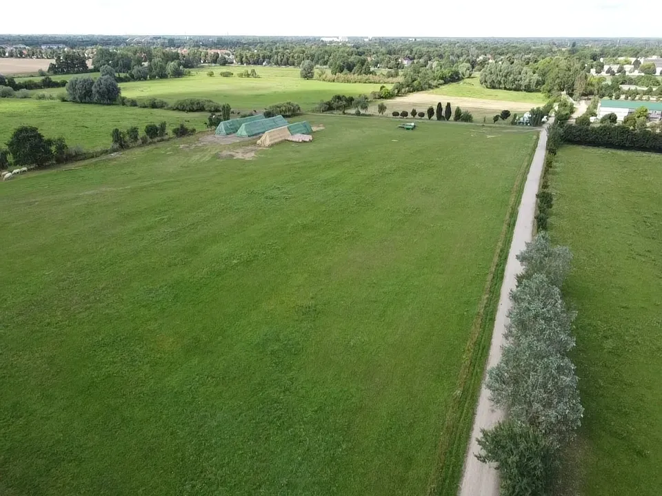 ca. 35 ha Acker- und Grünland in der Börde (Ankauf)