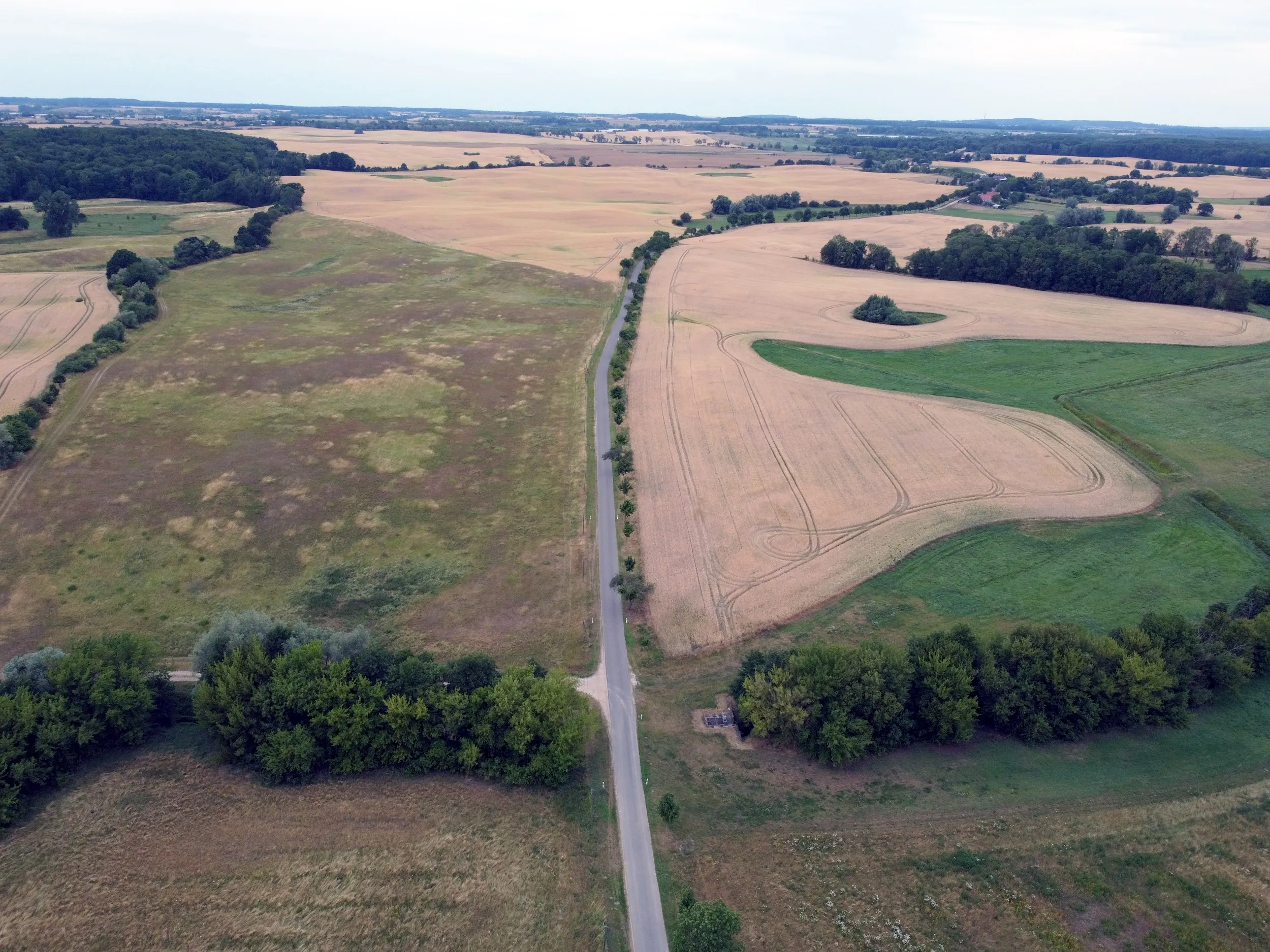 Ca. 70 ha Landwirtschaftsfläche (langfristig verpachtet) in der Nordwestuckermark (provisionsfrei) – Bild 6