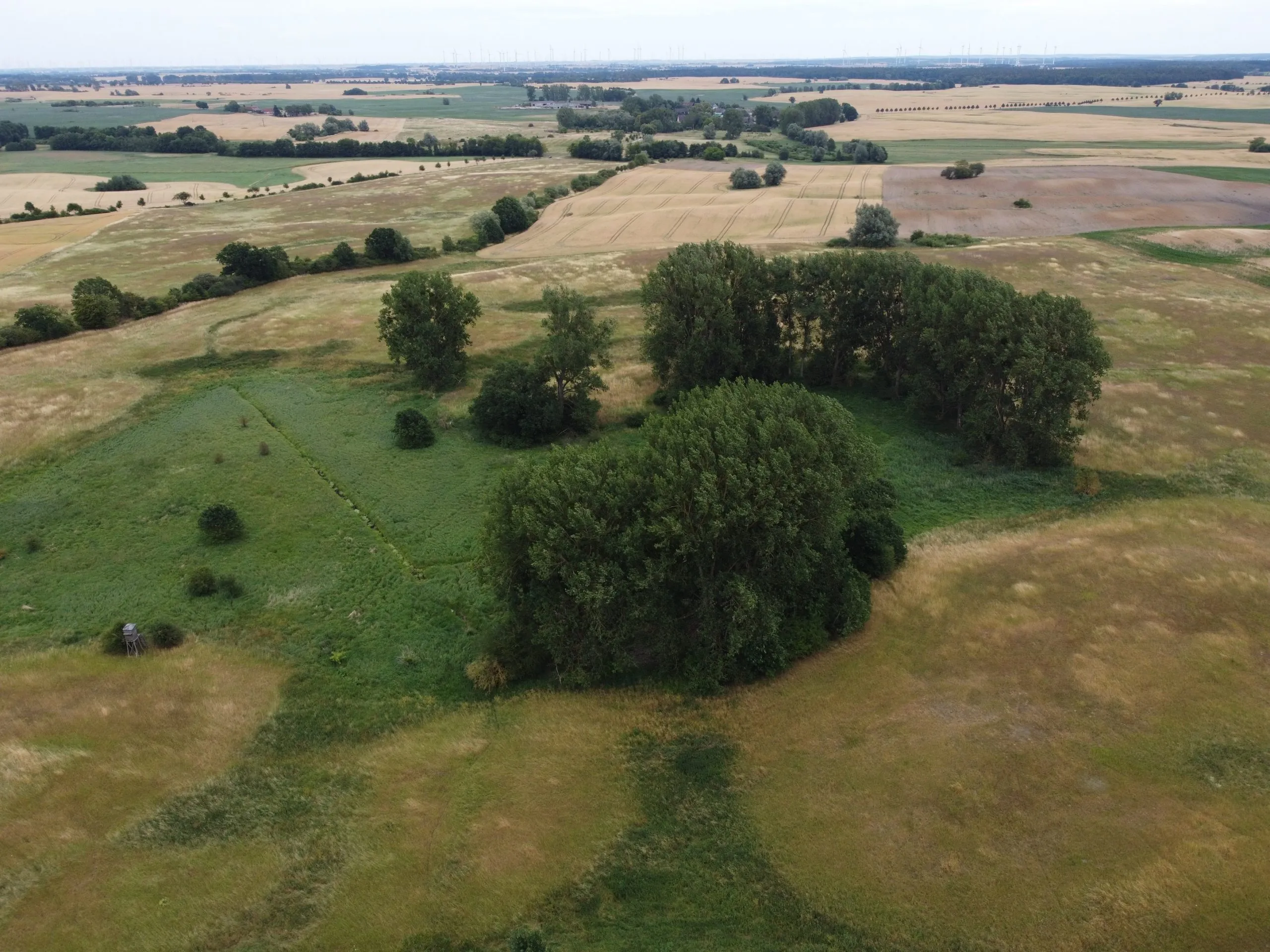 Ca. 70 ha Landwirtschaftsfläche (langfristig verpachtet) in der Nordwestuckermark (provisionsfrei) – Bild 5