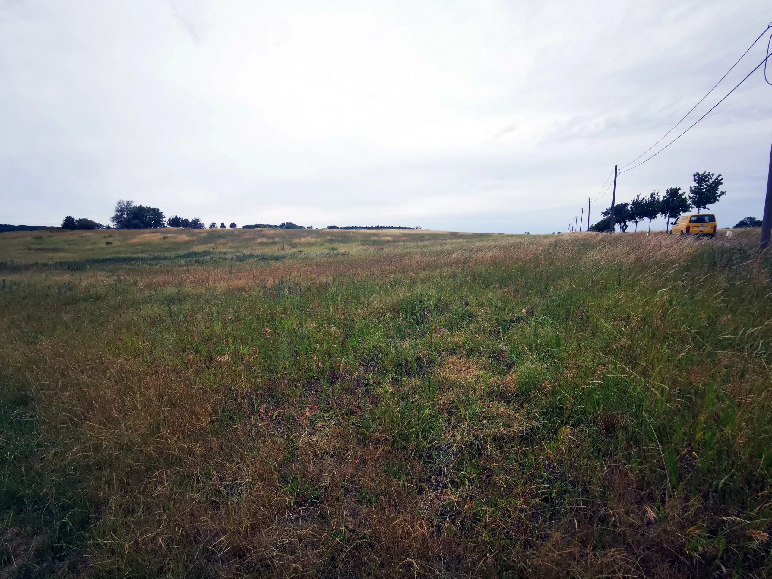 Ca. 70 ha Landwirtschaftsfläche (langfristig verpachtet) in der Nordwestuckermark (provisionsfrei) – Bild 2