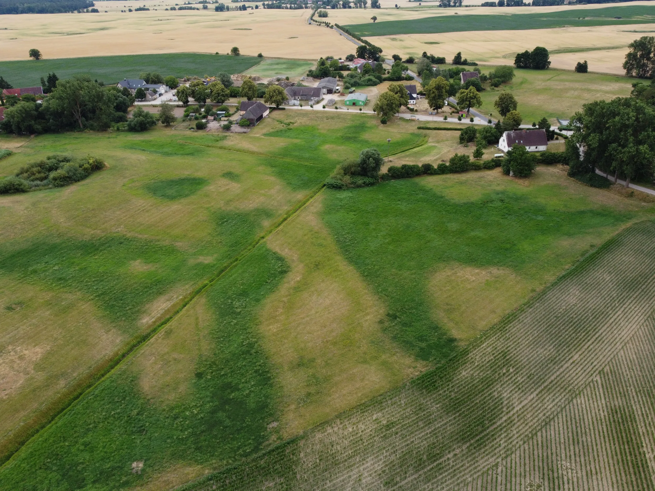 Ca. 70 ha Landwirtschaftsfläche (langfristig verpachtet) in der Nordwestuckermark (provisionsfrei) – Bild 1