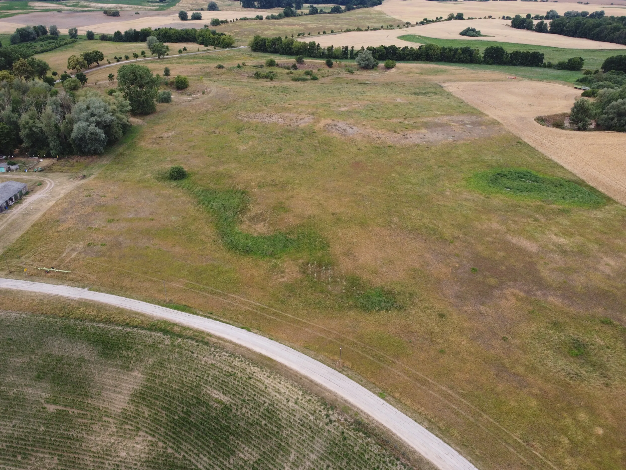 Ca. 70 ha Landwirtschaftsfläche (langfristig verpachtet) in der Nordwestuckermark (provisionsfrei) – Bild 8