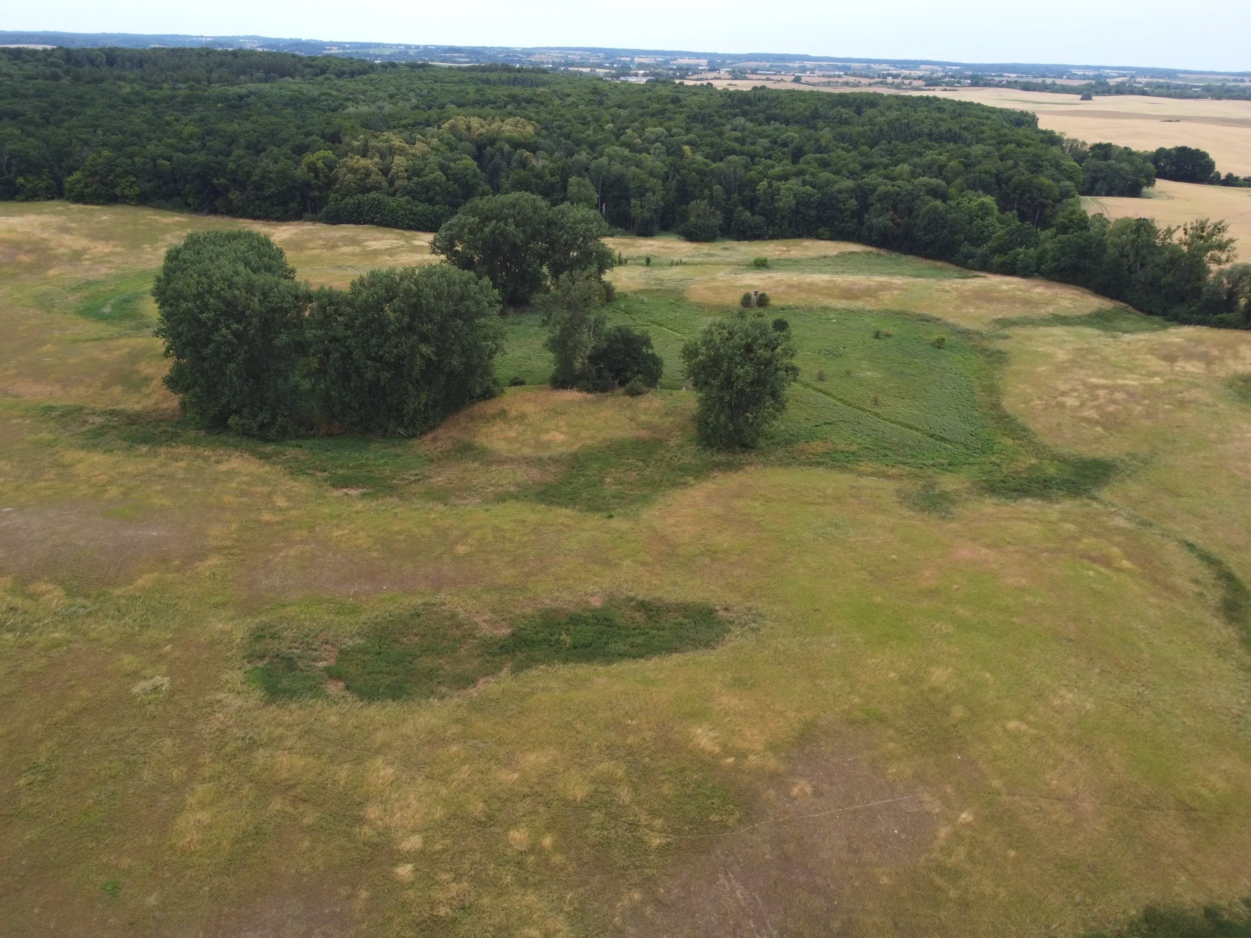 Ca. 70 ha Landwirtschaftsfläche (langfristig verpachtet) in der Nordwestuckermark (provisionsfrei) – Bild 3