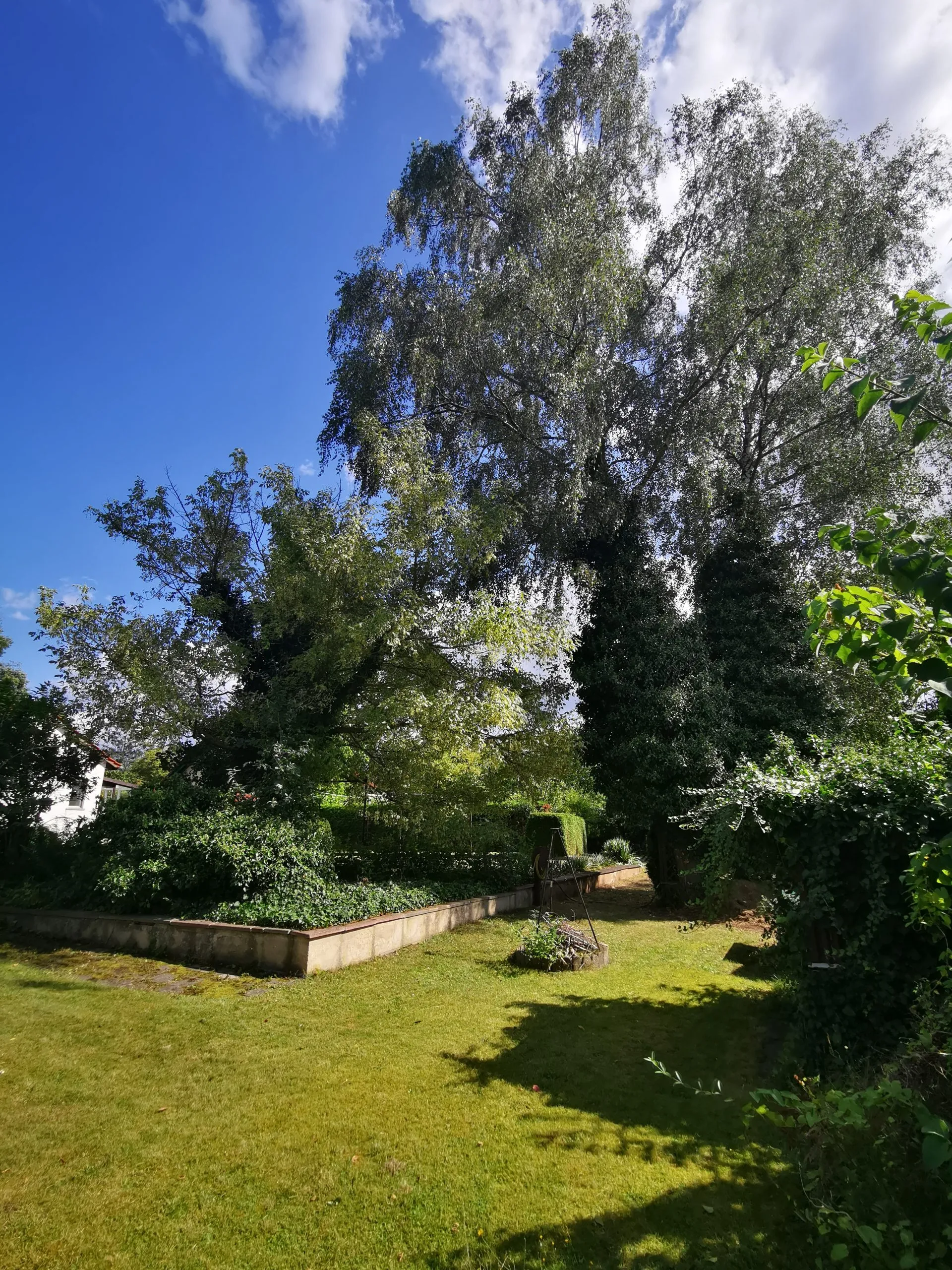 Großes Grundstück mit viel Potenzial – 1.478 m² mit Haus & Garage in Schmöckwitz – Bild 25