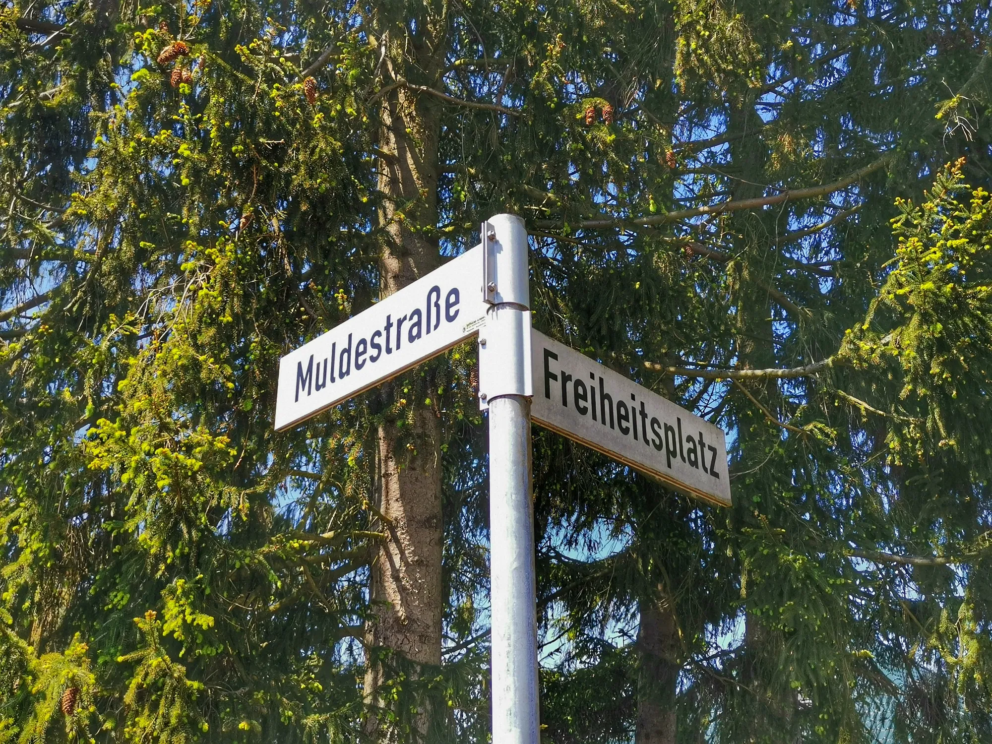 Grundstück in Oranienburg-Süd – 856 m² sonniges Eckgrundstück in exzellenter Lage – Bild 10