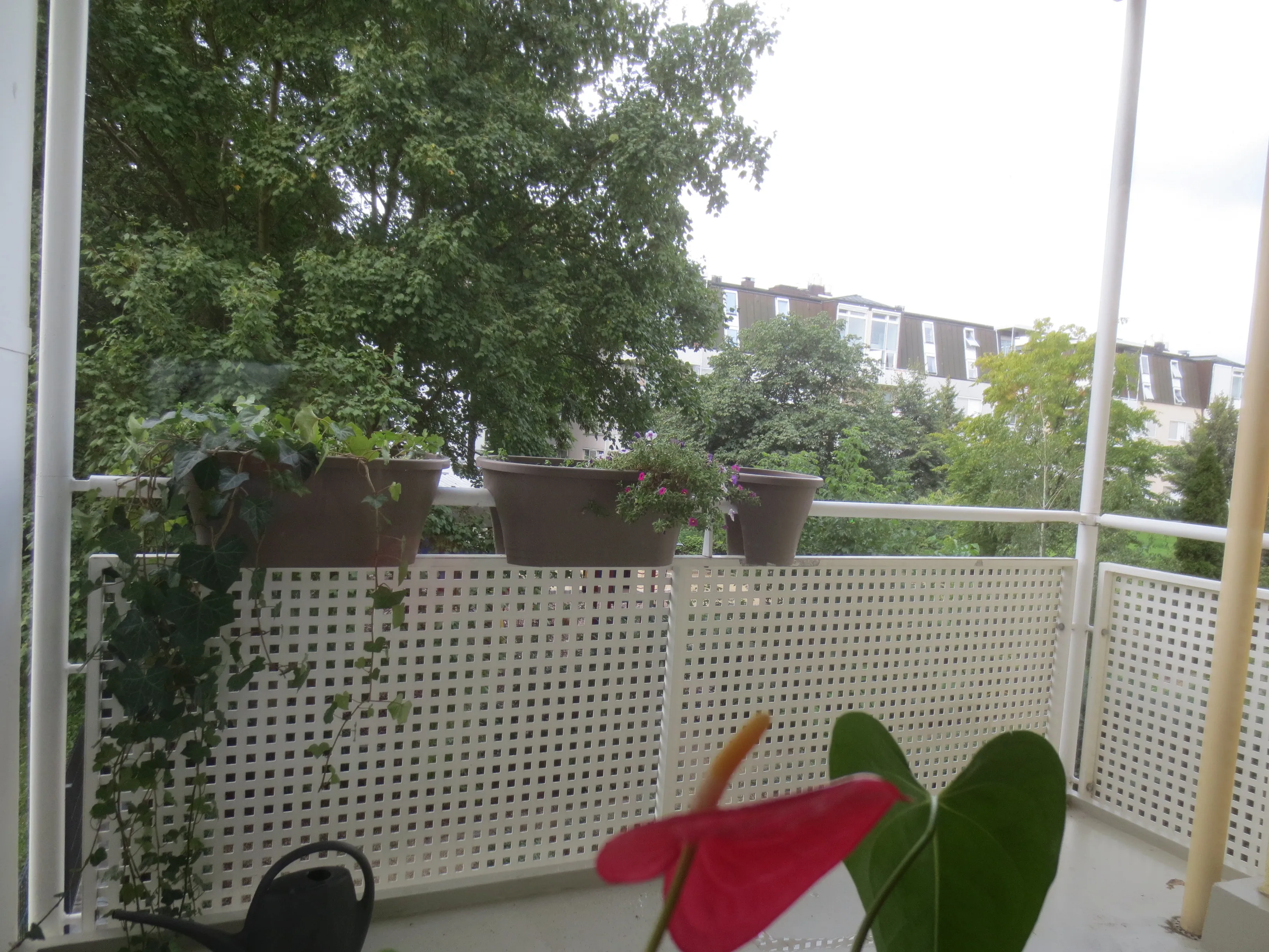 0938-12a Balkon mit Ausblick