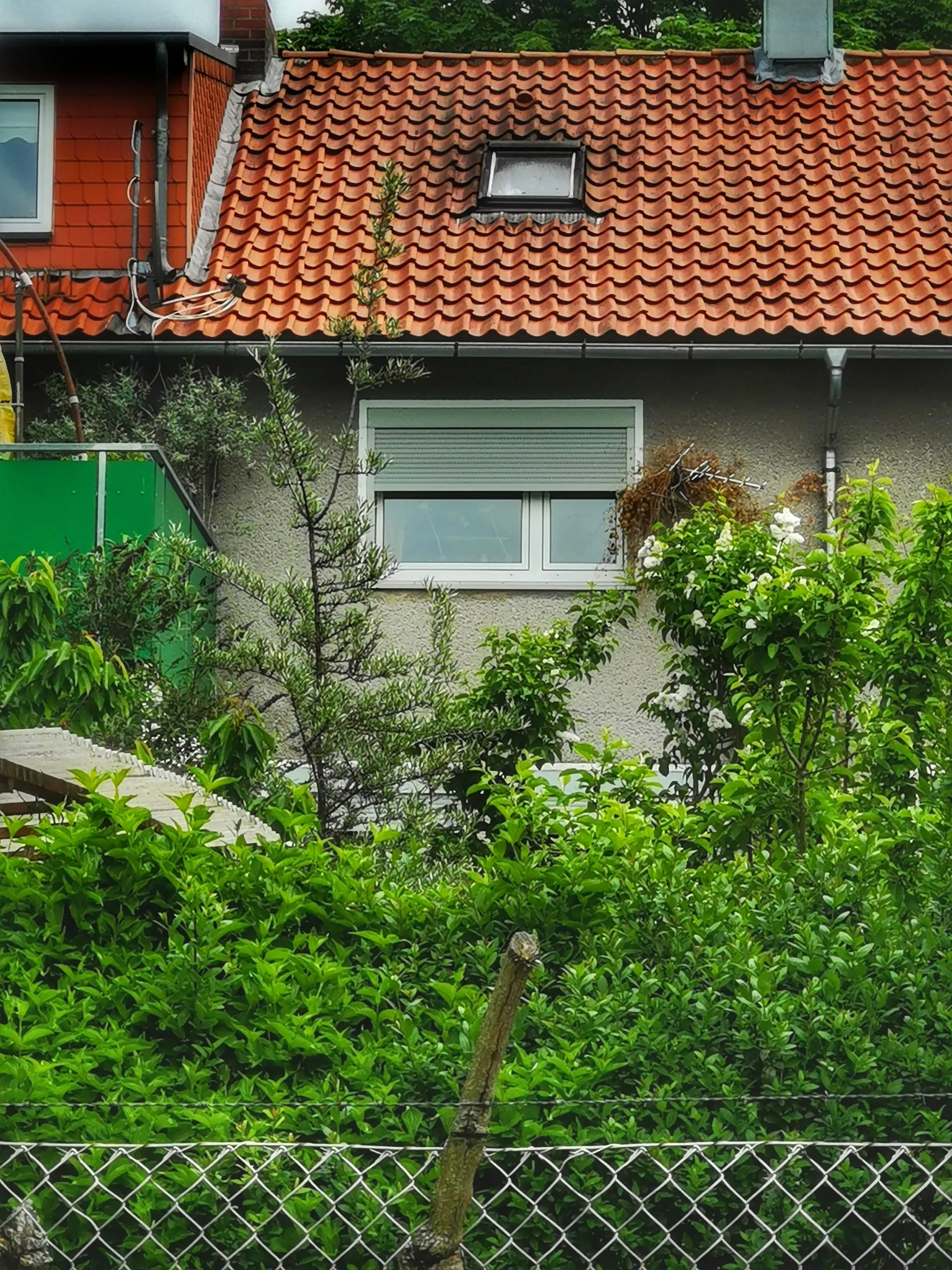 1045-13 Gartenfenster