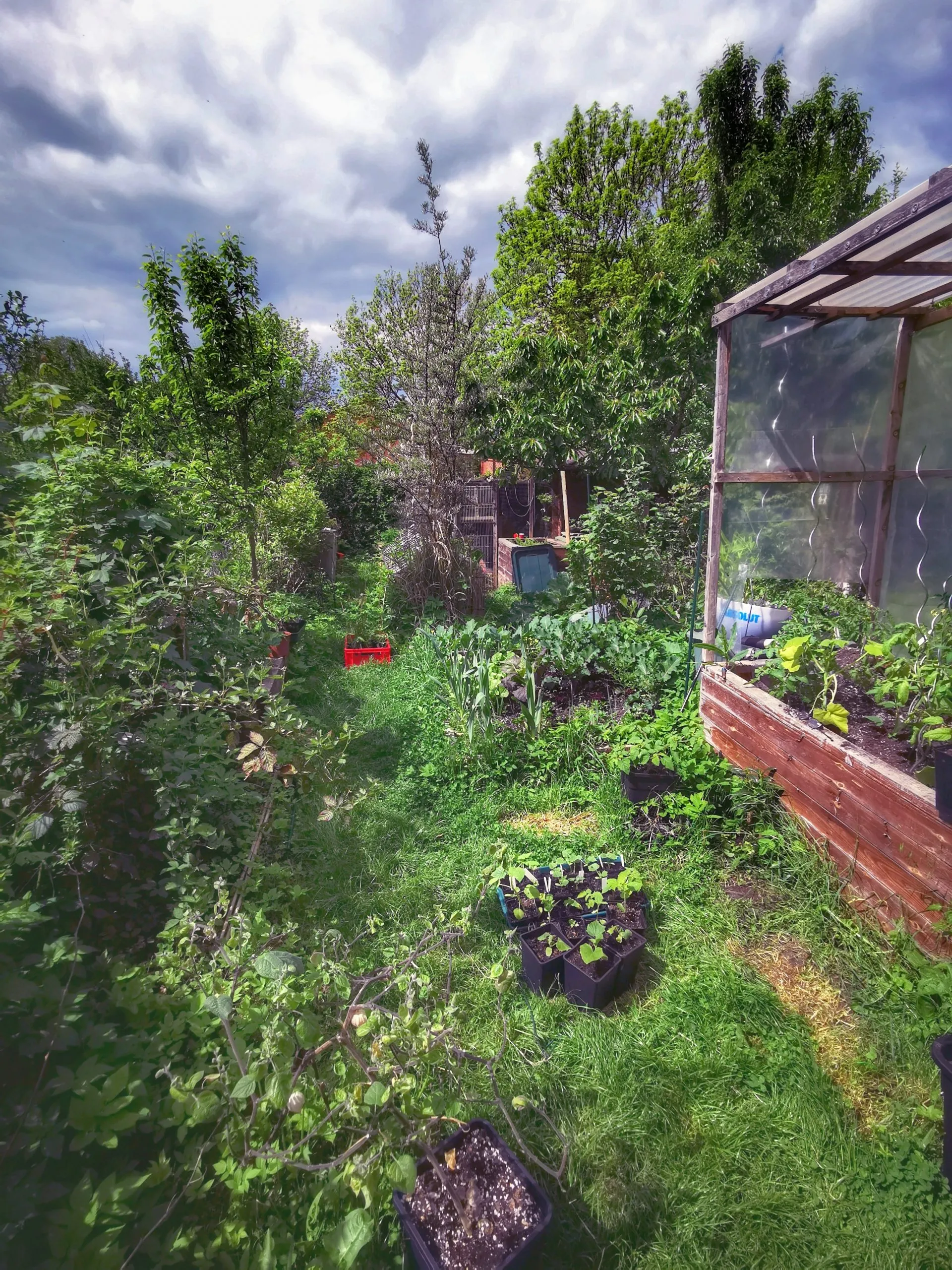 1045-12 Garten
