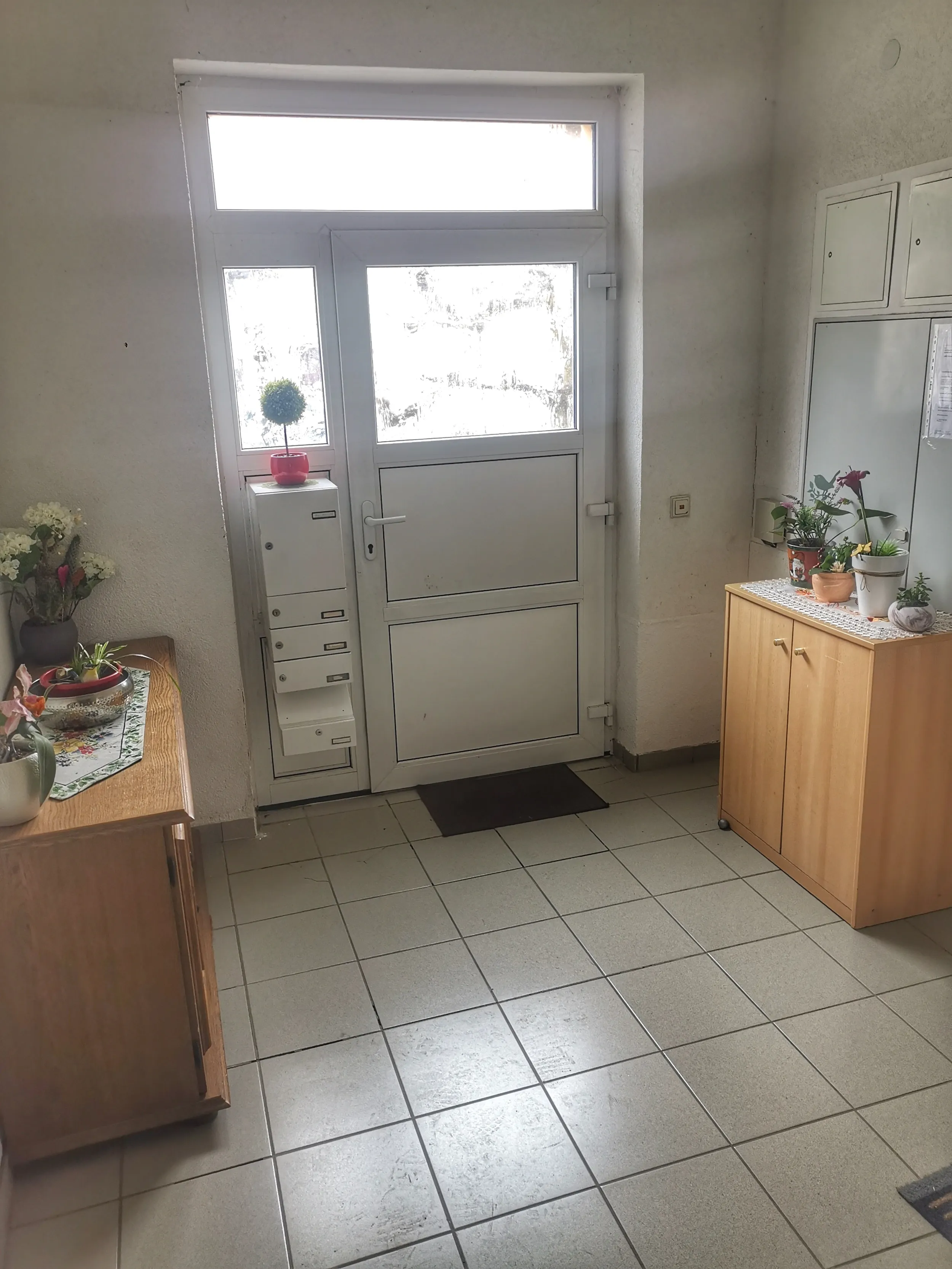 0974-11 Eingangstür