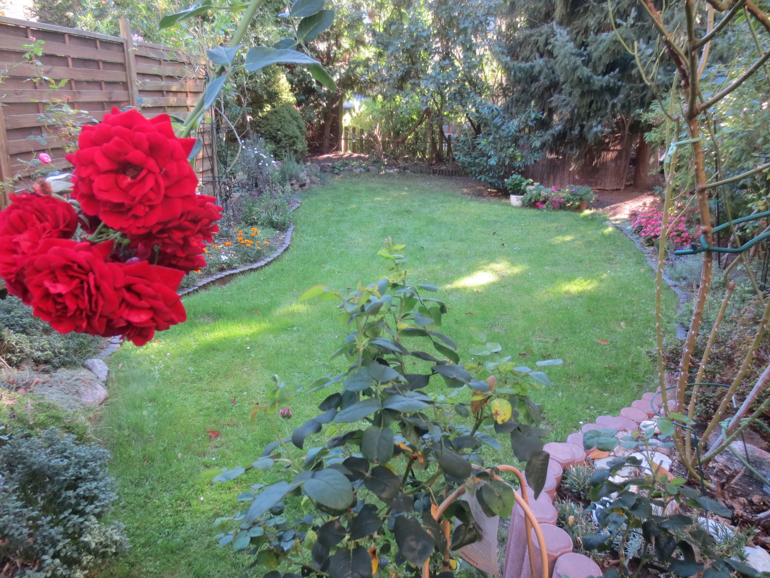 0913-21 ein sehr gepflegter Garten
