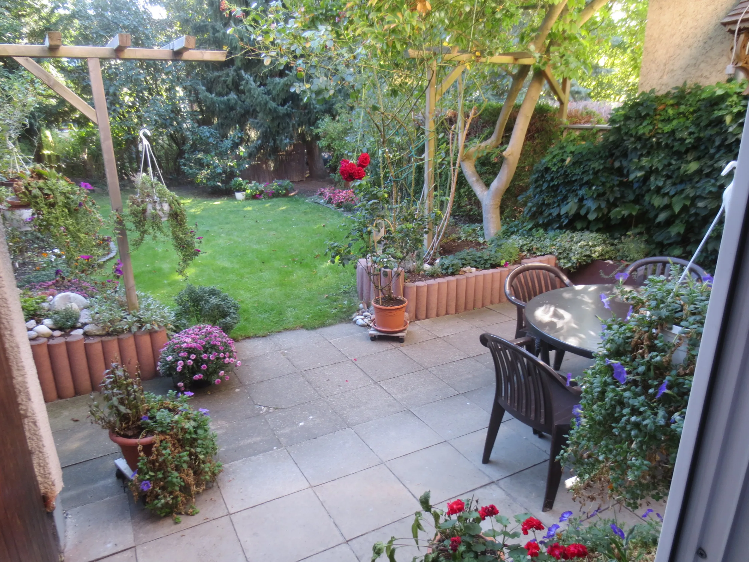 0913-20 Blick in den Garten
