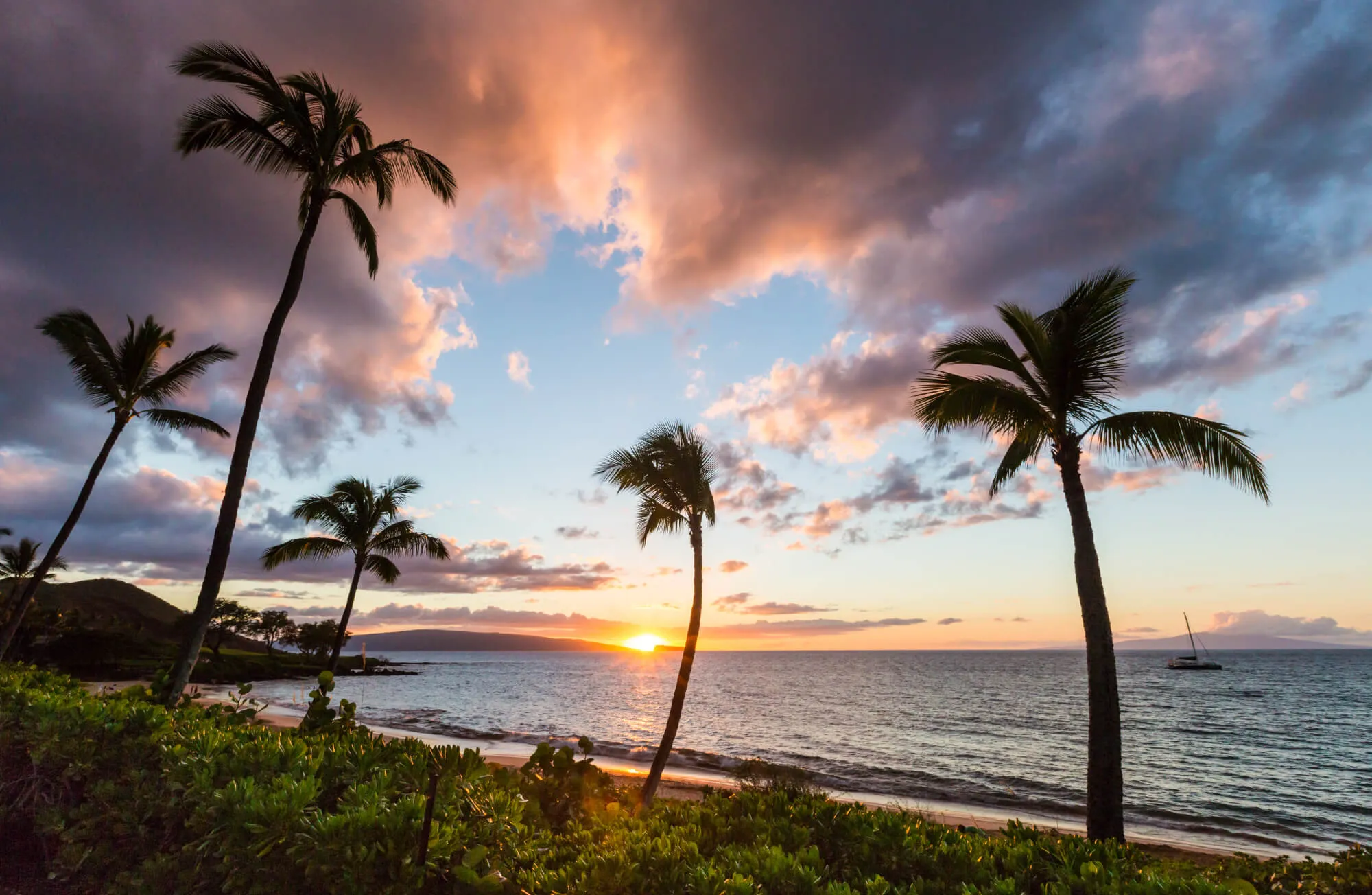 clouds and sunset over beach at maui with palm trees
