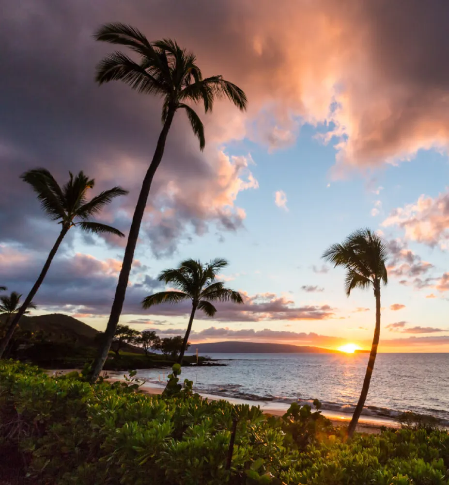 maui sunset ocean palms and beach