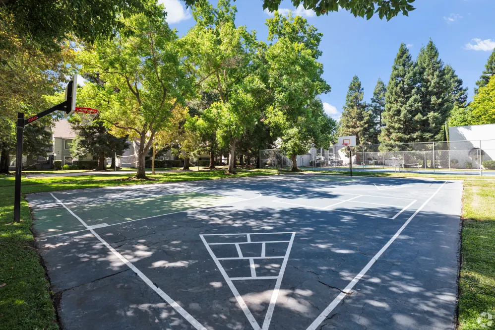 Basketball court
