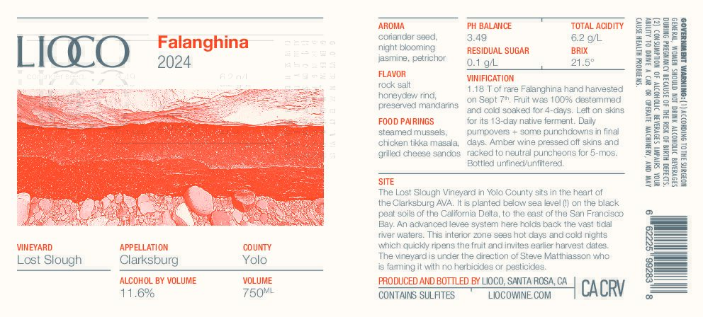 2024 Falanghina – Lost Slough Vineyard, Clarksburg