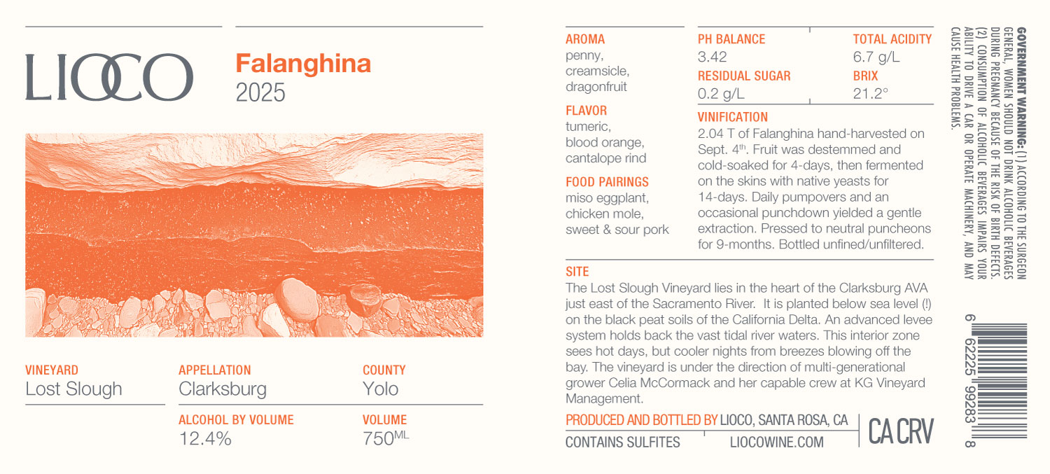 2025 Falanghina – Lost Slough Vineyard, Clarksburg
