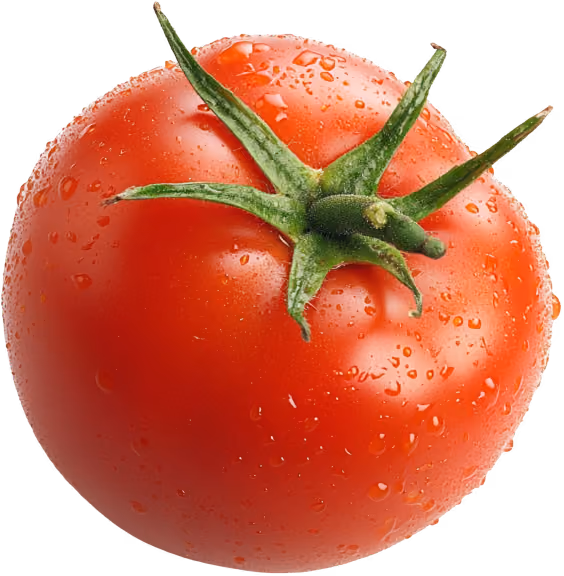 Fresh red tomato with green stem and water droplets on its surface.
