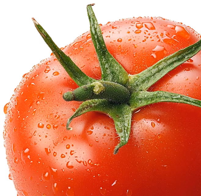 Close-up of a fresh red tomato with water droplets and green stem on a transparent background.