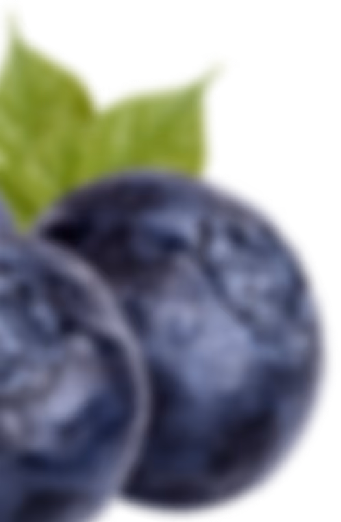 Close-up of two blueberries with a green leaf behind them.