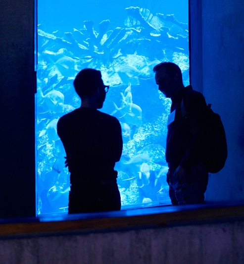 Interconnected aquatic ecosystem at New England Aquarium