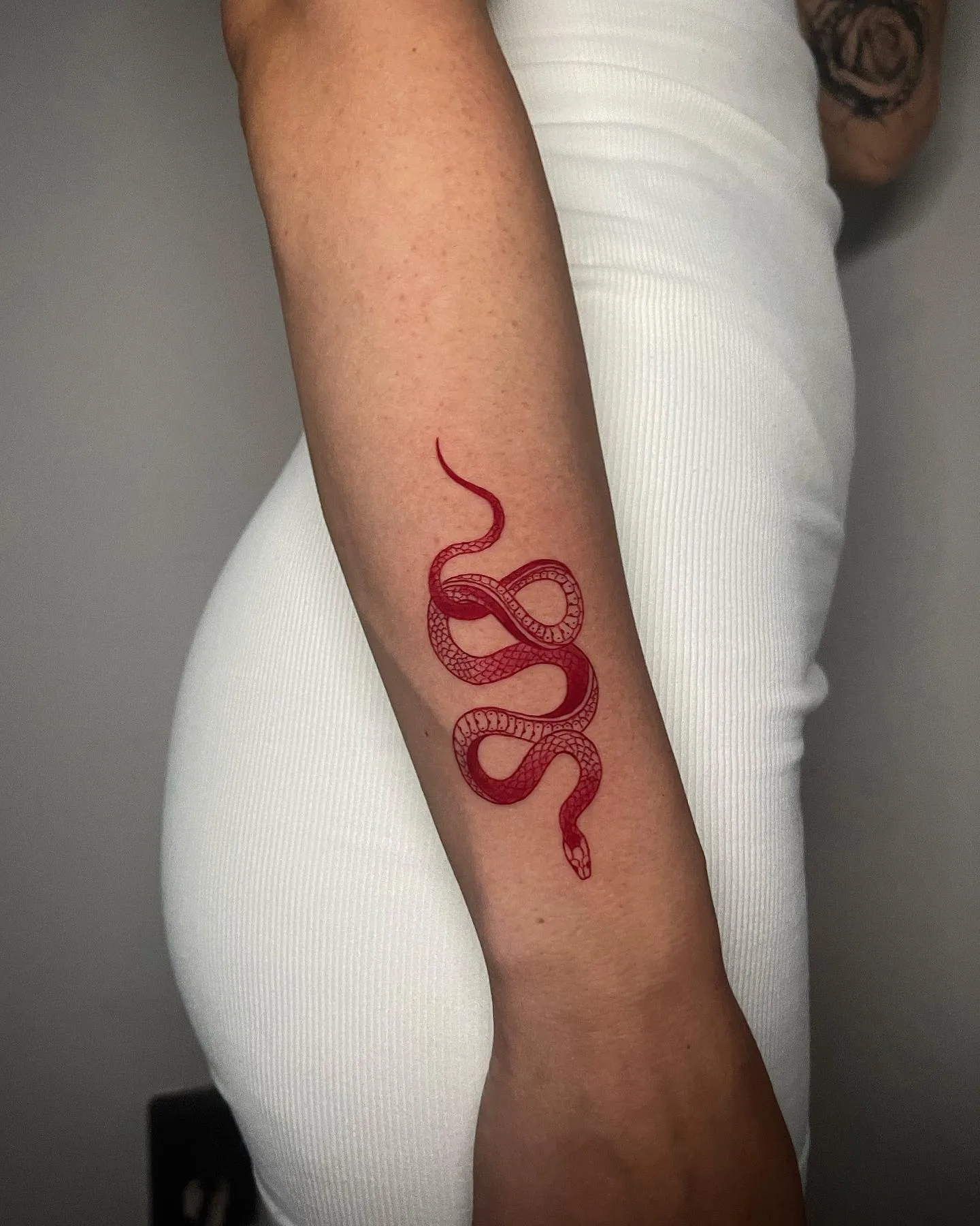 Rotes Schlangen Tattoo am Unterarm – geschwungene Schlange mit feinen Schuppen in roter Tinte, INK SOCIETY