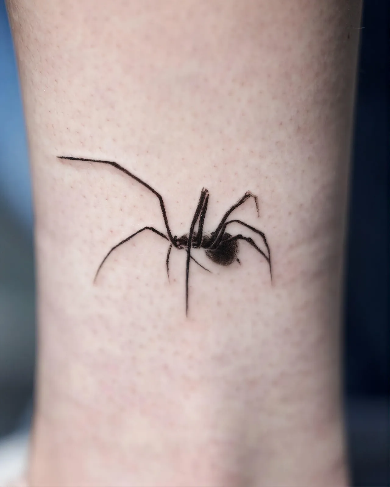Kleines Spinnen Tattoo am Bein – realistische Spinne mit langen, feinen Beinen in schwarzer Fine Line, von Lara, INK SOCIETY