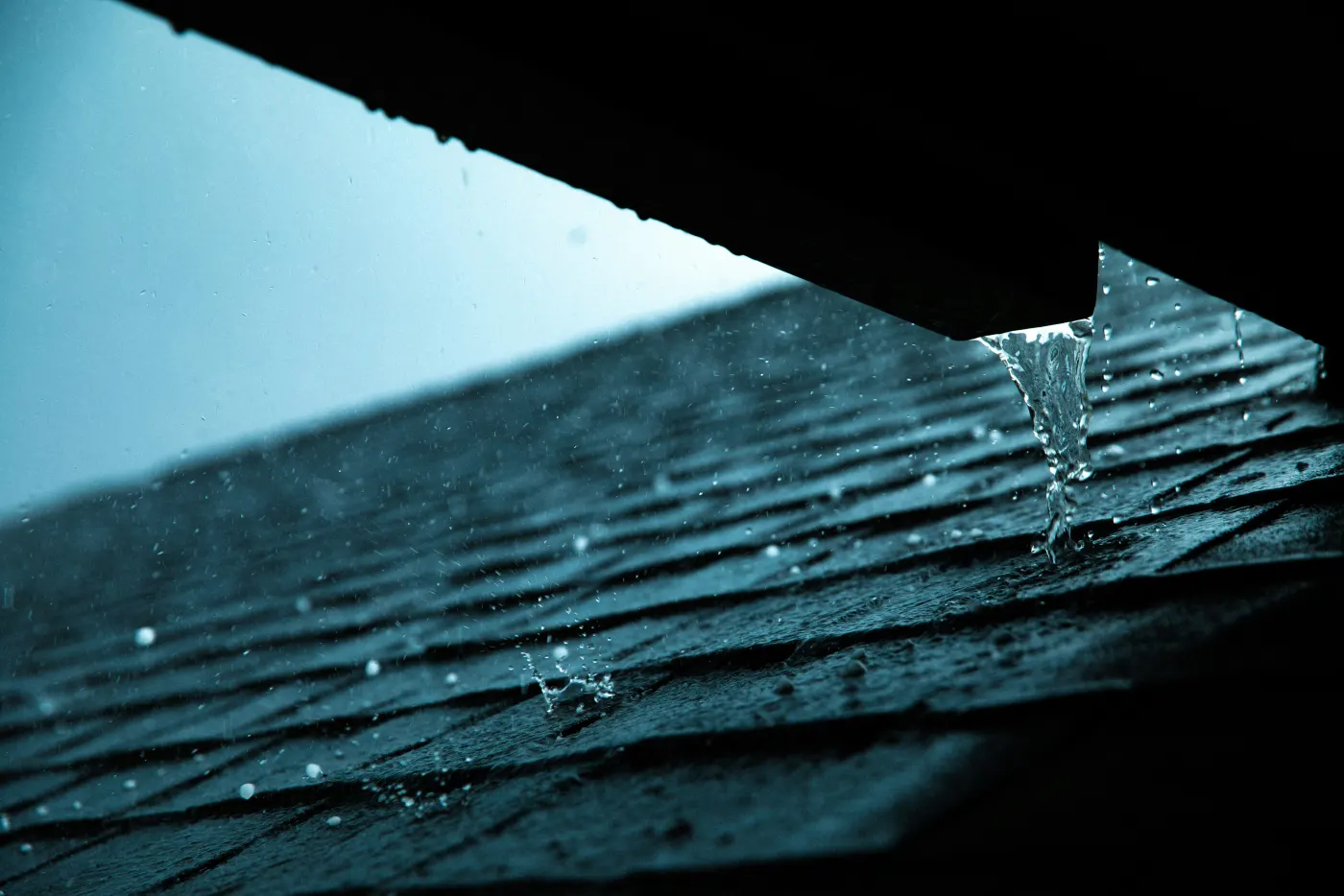 Rainwater draining from a roof gutter above asphalt shingles