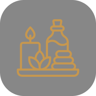 Med Spa icon