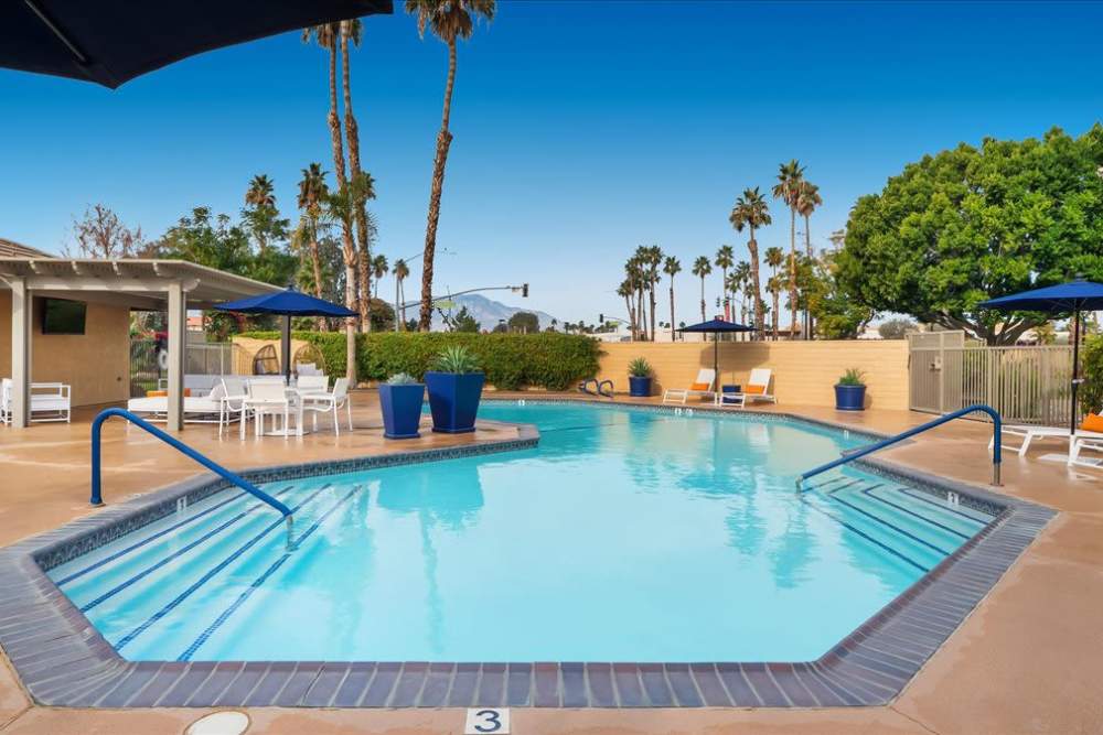 Pool with deck