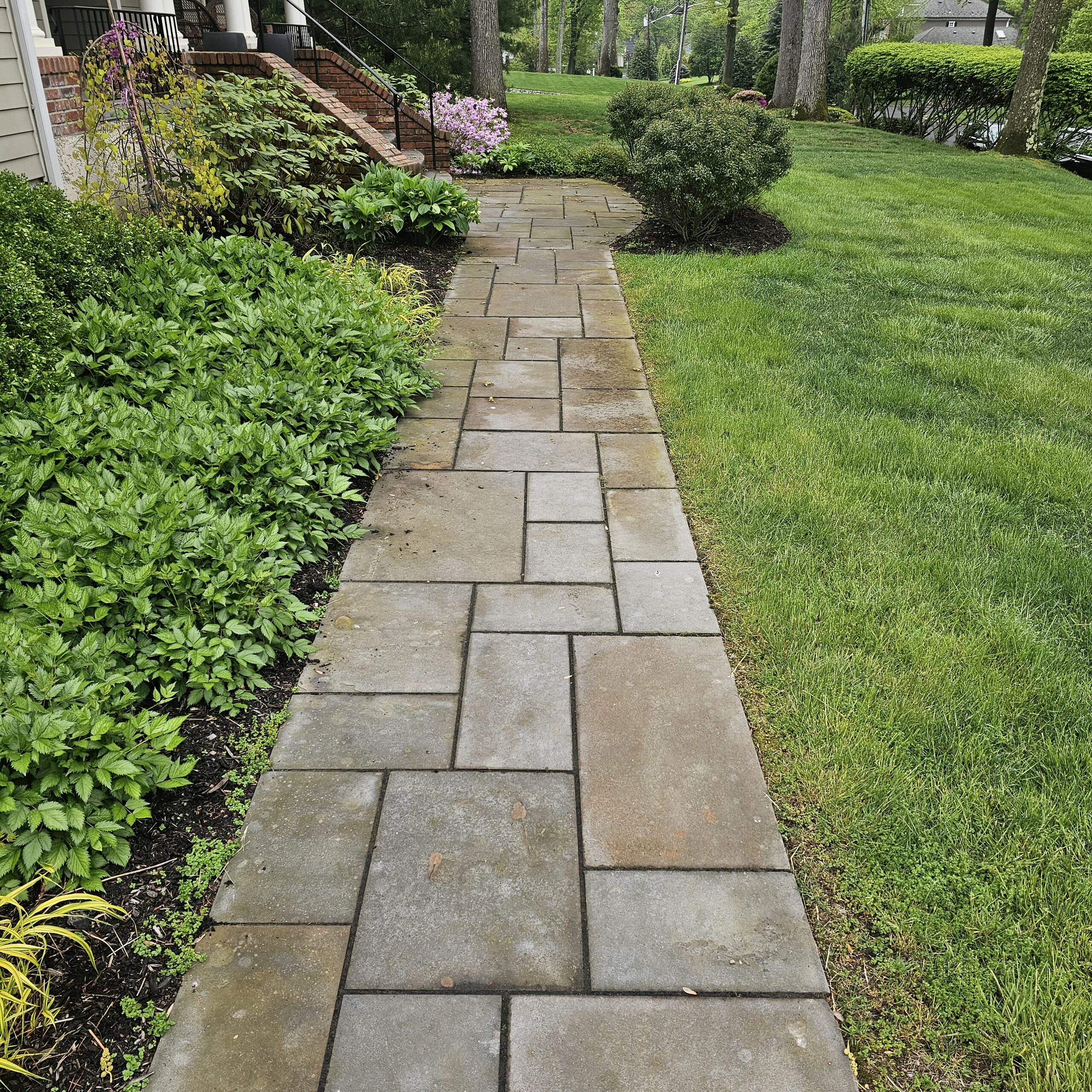 Freshly mulched beds with crisp edging at a New Jersey home
