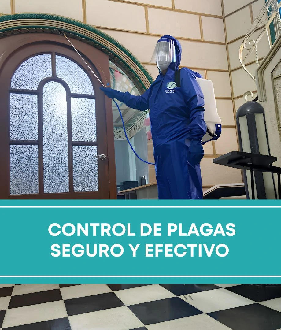 Auxiliar de limpieza limpiando una cocina