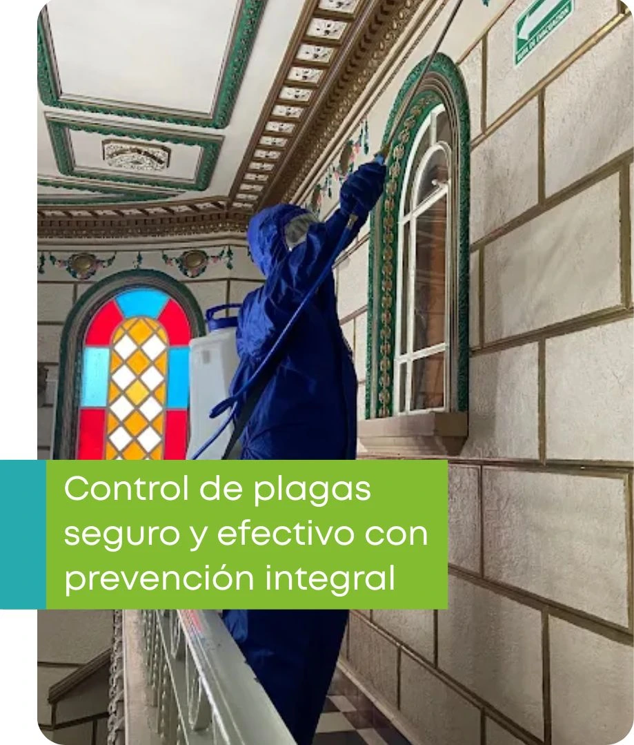 Equipo de Limpieza en Oficinas